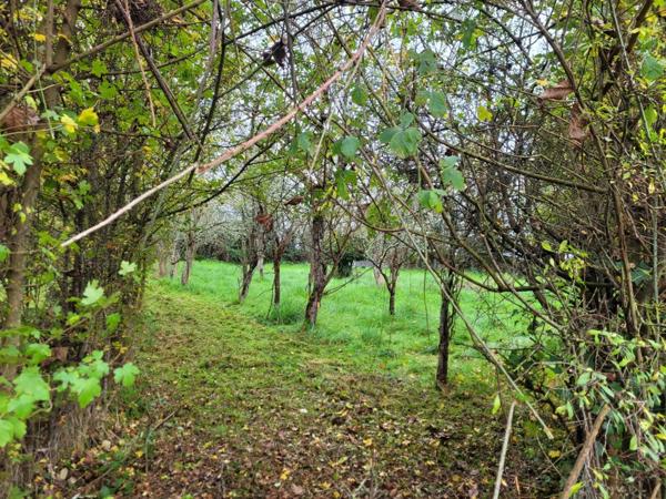 Petite Maison de campagne à vendre, 2 pièces, GERMIGNY L'EXEMPT (18)