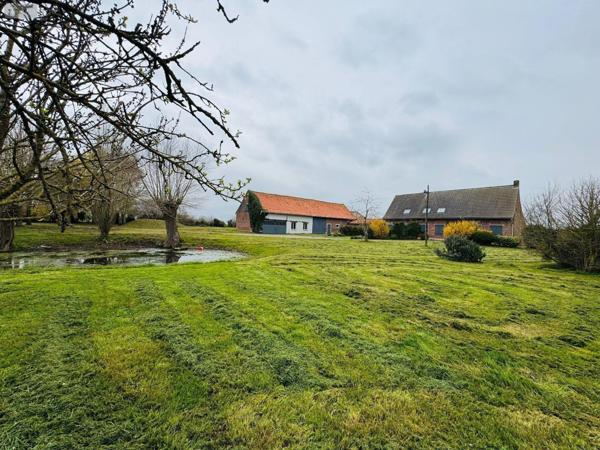 Maison à vendre à Steenvoorde dans le Nord (59114), ref : H126013