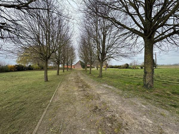 Maison à vendre à Steenvoorde dans le Nord (59114), ref : H126013