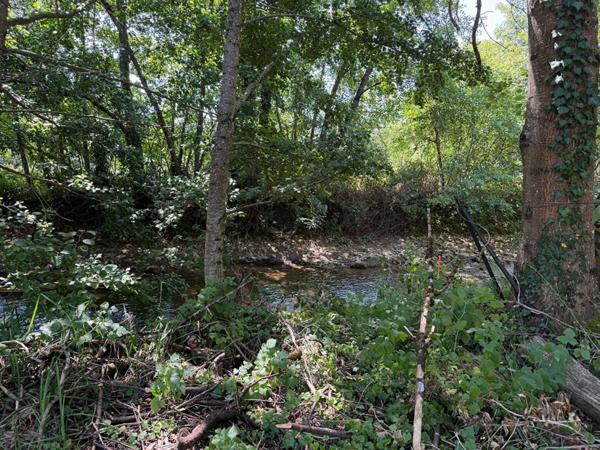 Terrain constructible viabilisé au bord de l'eau
