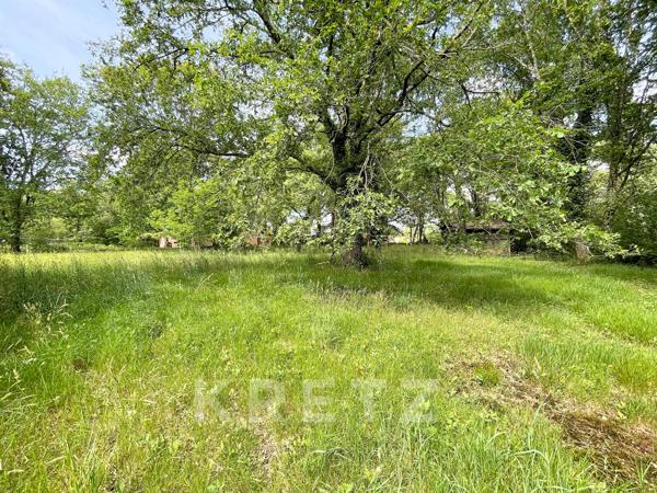 Terrain constructible en lisière de forêt