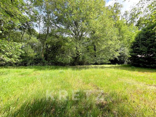 Terrain constructible en lisière de forêt