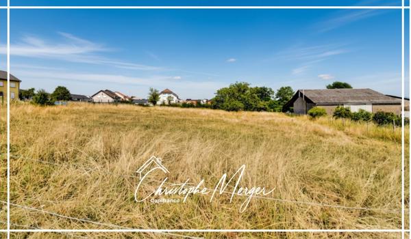 Terrain constructible à vendre 2100 m² à Lorquin (57), non viabilisé, borné