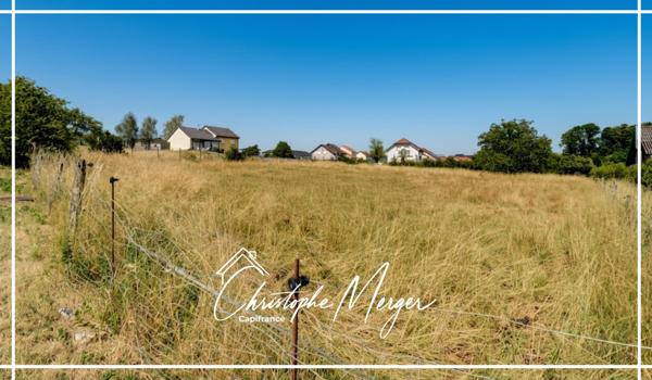 Terrain constructible à vendre 2100 m² à Lorquin (57), non viabilisé, borné