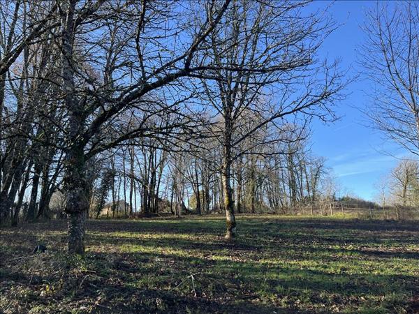 Terrain à vendre |  Saint-Front-la-Rivière |  2528 m²