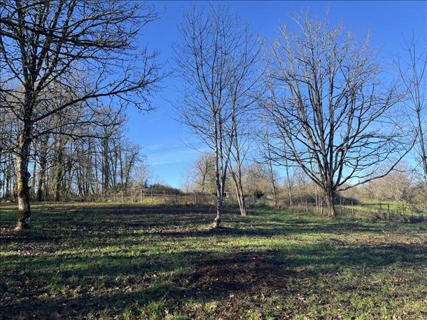 Terrain à vendre |  Saint-Front-la-Rivière |  2528 m²
