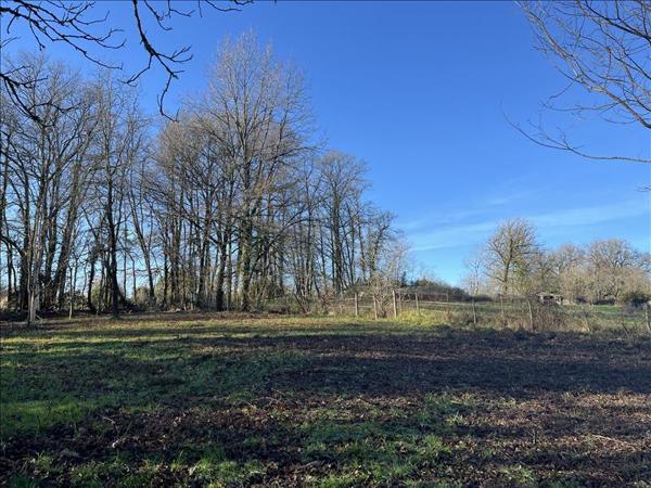 Terrain à vendre |  Saint-Front-la-Rivière |  2528 m²
