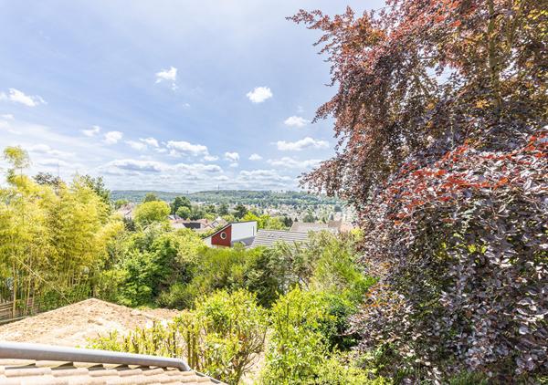 Maison Palaiseau 8 pièce(s) 220 m2