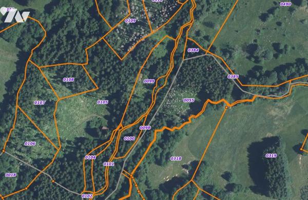 Parcelle forestière