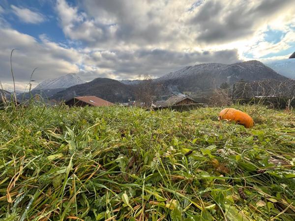 Vente / Terrain constructible