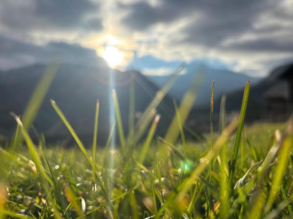 Vente / Terrain constructible