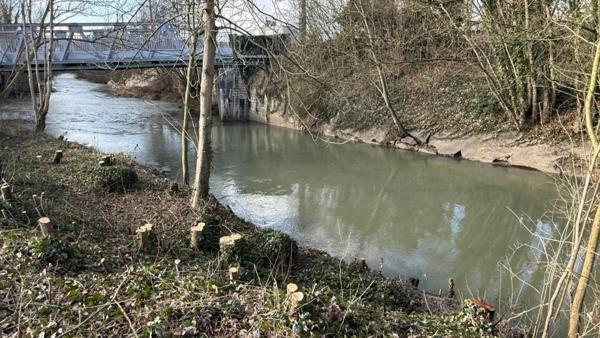 Terrain Constructible 800m2