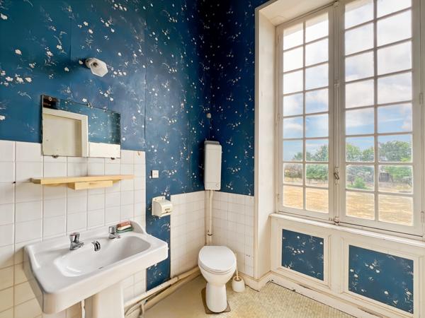 Maison 16 pièces - 436 m² Bien prestige