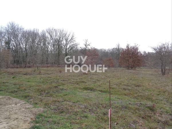 Terrain à bâtir Casteljaloux 1375 m2