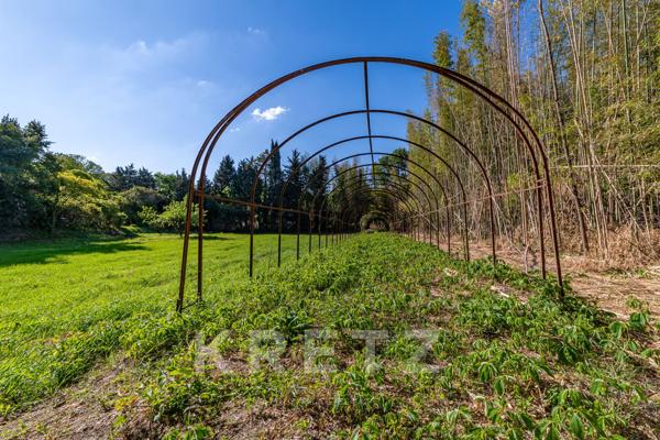 Propriété avec 5000m² de jardin en centre ville