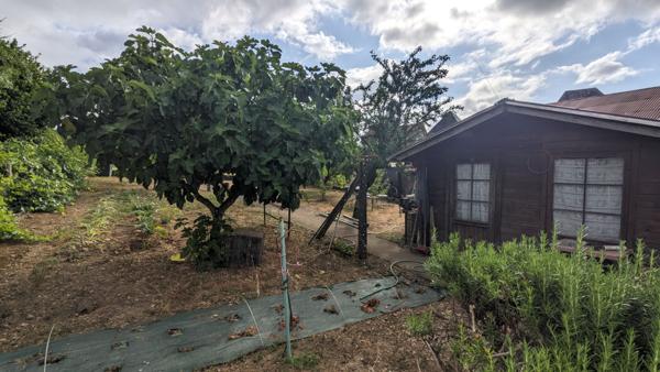 Spacieuse maison en centre ville