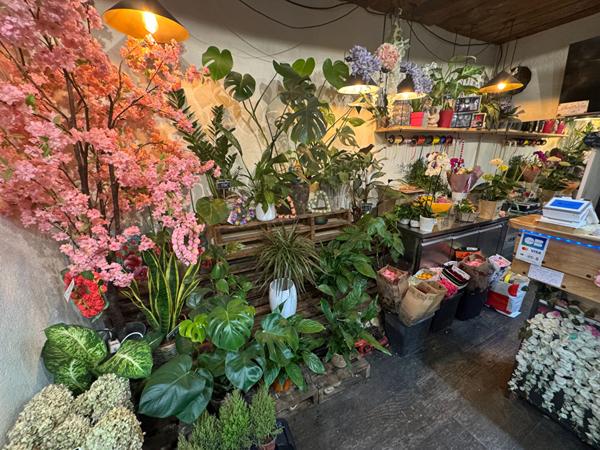 À vendre - Fonds de commerce Fleuriste - Cagnes-sur-Mer Centre