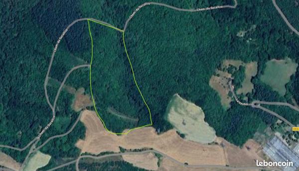 Domaine forestier de 431900 m2