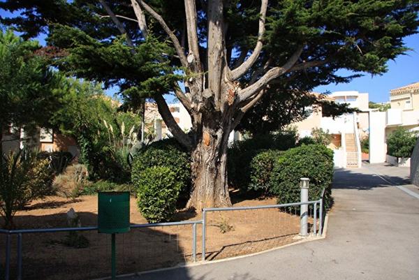 Appartement SETE 1 pièce(s)