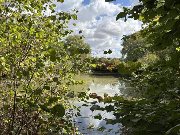 Achat - Terrain de loisirs, bois, étangs Beaumont-sur-Sarthe 72170 2853 m 2
