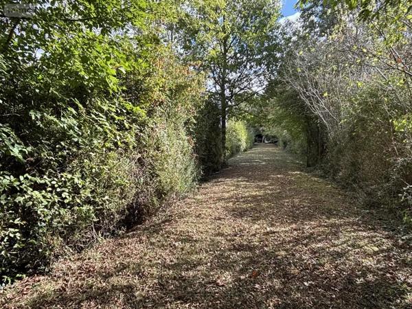 Achat - Terrain de loisirs, bois, étangs Beaumont-sur-Sarthe 72170 2853 m 2