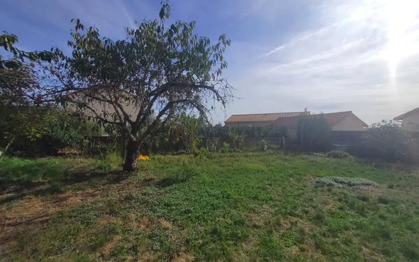 MAISON 4 CHAMBRES - NUEIL-SUR-LAYON