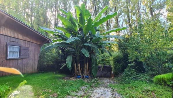 Petite propriété une maison et un chalet à CHALIFERT (77)