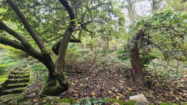 Petite propriété une maison et un chalet à CHALIFERT (77)