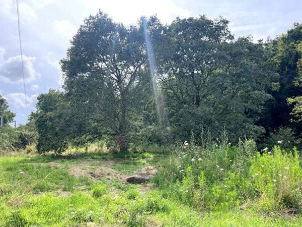 Grange à réhabiliter Avrillé