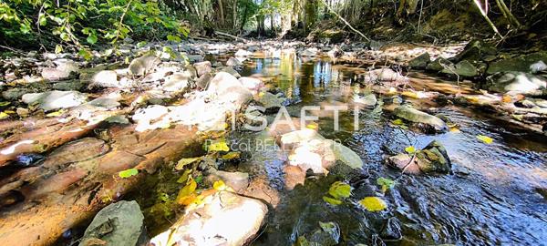 Superbe Opportunité : Ancien Moulin avec étang à Restaurer et Grand Terrain de 27533m²