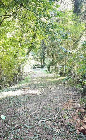 Superbe Opportunité : Ancien Moulin avec étang à Restaurer et Grand Terrain de 27533m²