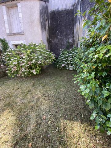 À vendre - Maison ancienne, 7 pièces située à Amboise (37400)