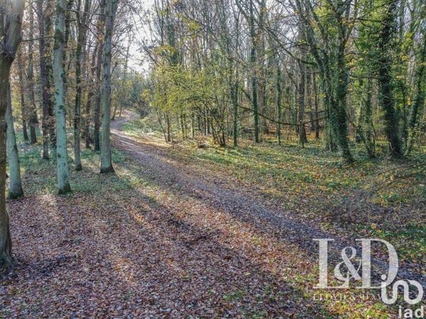 Maison de 6 pièces avec grand charme, en parfait état