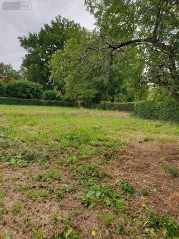 Maison à restaurer à vendre à Montgivray dans l'Indre (36400), ref : FB/69