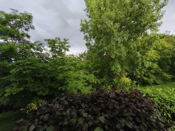 Appartement
         3 pièces
        - 66 m² 229 000 € *