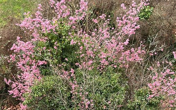 Appartement à vendre    3 pièces • 73 m2 Lyon 9