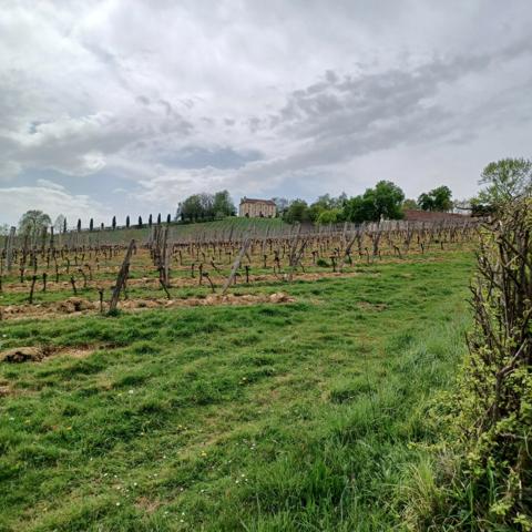 Fonds de commerce à vendre VIELLA (32) - Alimentation multi-services