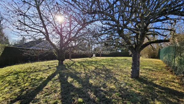 Vente Terrain 609 m2 à Fontenay-Lès-Briis