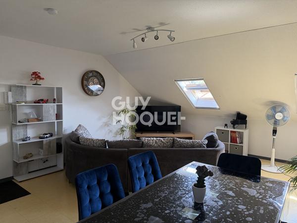 Appartement Port Sur Saone 3 pièce(s) 47 m2