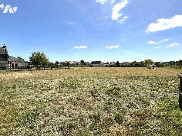 À VENDRE - Maison 4 chambres avec équipements équestres - Secteur Saint-Lambert-des-Levées (Saumur)