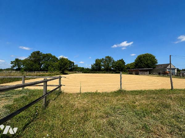 À VENDRE - Maison 4 chambres avec équipements équestres - Secteur Saint-Lambert-des-Levées (Saumur)