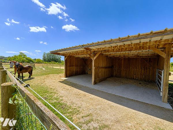 À VENDRE - Maison 4 chambres avec équipements équestres - Secteur Saint-Lambert-des-Levées (Saumur)