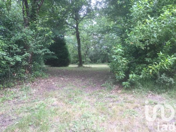 Terrain à vendre 4 095 m² Saint-Vivien-de-Médoc