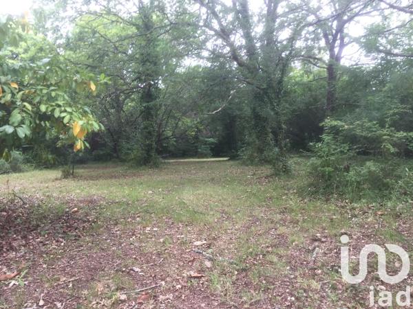 Terrain à vendre 4 095 m² Saint-Vivien-de-Médoc