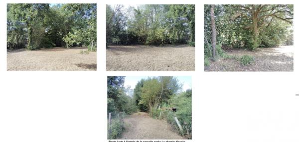 Terrain à vendre 4 095 m² Saint-Vivien-de-Médoc