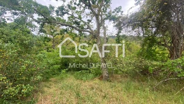 Terrain en nature de bois