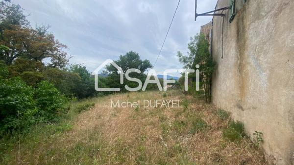 Terrain en nature de bois