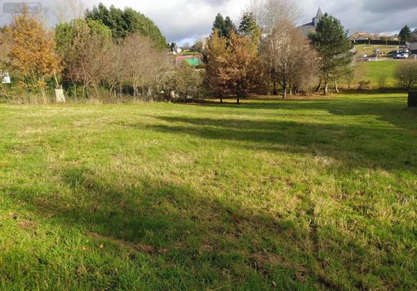 Achat - Terrain à bâtir Le Rouget-Pers 15290 2021 m 2