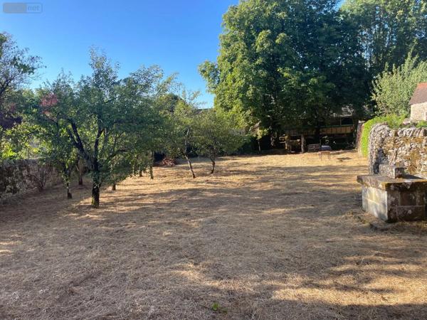 Achat - Propriété | Propriété Assier 46320 13 pièces 330 m 2 1210 m 2