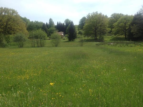 Terrain Menoncourt